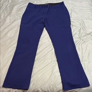 Express Columnist Pant size 10